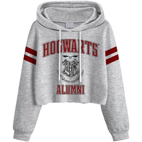 Sweat-shirt Harry Potter Hogwarts - Harry Potter - Modalova