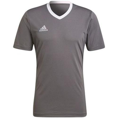 T-shirt adidas Entrada 22 - adidas - Modalova