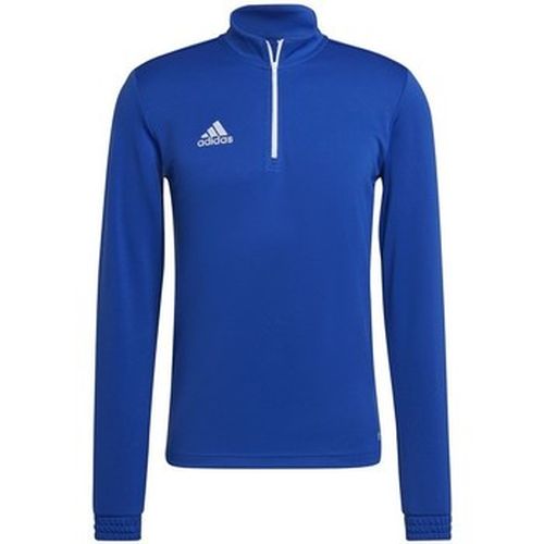 Sweat-shirt adidas Entrada 22 - adidas - Modalova