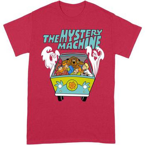 T-shirt Scooby Doo BI131 - Scooby Doo - Modalova