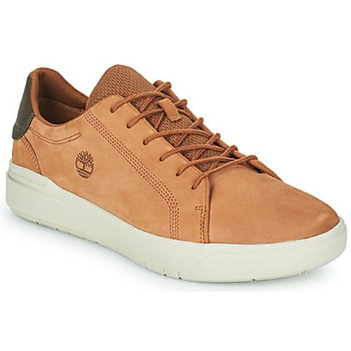 Baskets basses SENECA BAY OXFORD - Timberland - Modalova