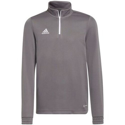 Sweat-shirt Entrada 22 Training - adidas - Modalova