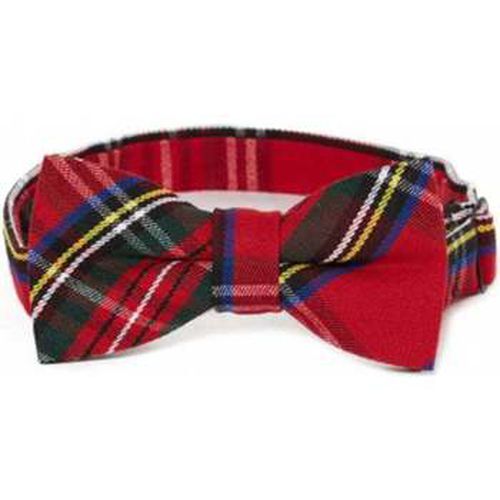 Cravates et accessoires Noeud papillon écossais - Harrington - Modalova