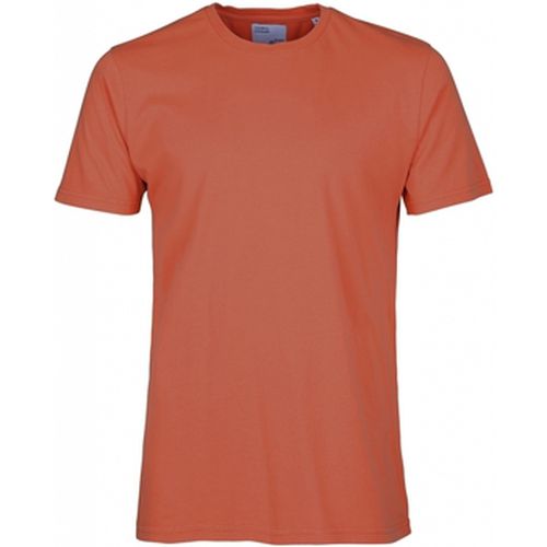 T-shirt T-shirt Classic Organic dark amber - Colorful Standard - Modalova