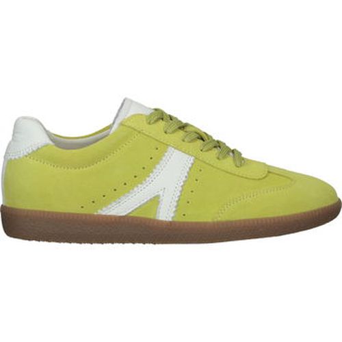 Baskets basses Brax Sneaker - Brax - Modalova