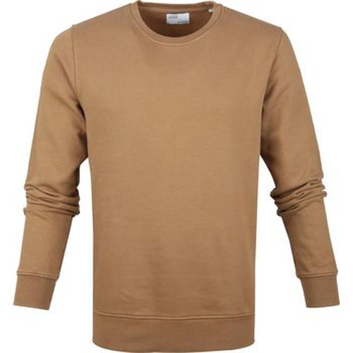 Sweat-shirt Pull Bio Camel - Colorful Standard - Modalova