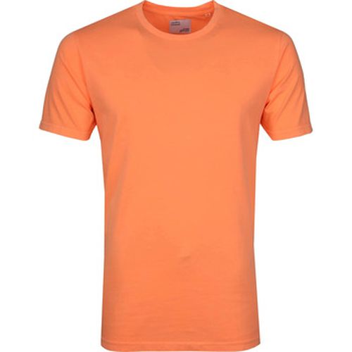 T-shirt T-shirt Fluo - Colorful Standard - Modalova