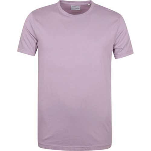T-shirt T-shirt Violet - Colorful Standard - Modalova