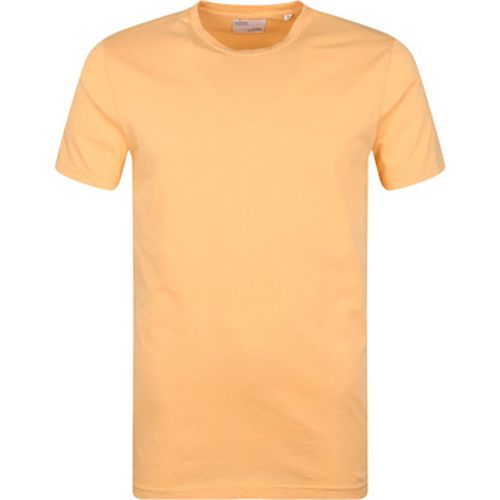 T-shirt T-shirt Biologique Coloré Clair - Colorful Standard - Modalova
