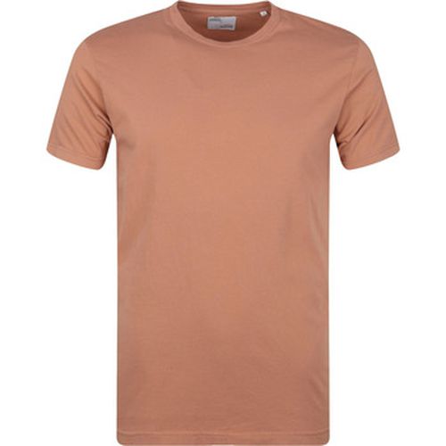 T-shirt T-shirt Biologique - Colorful Standard - Modalova