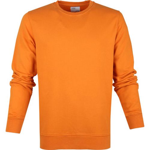 Sweat-shirt Colourful Standard Pull Bio - Colorful Standard - Modalova