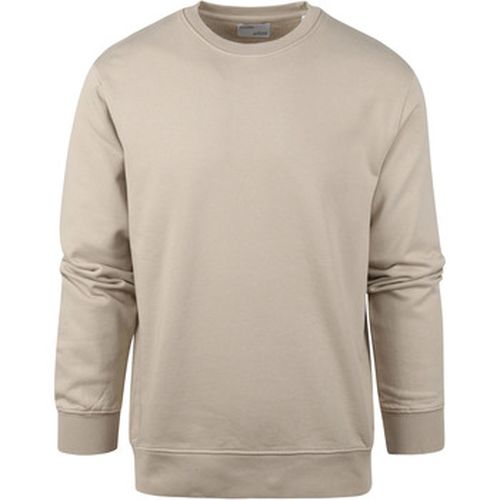 Sweat-shirt Pull Huître - Colorful Standard - Modalova