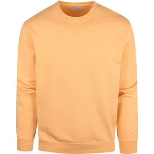 Sweat-shirt Colourful Standard Pull Clair - Colorful Standard - Modalova