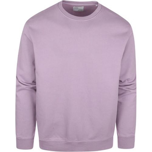 Sweat-shirt Colourful Standard Pull Violet - Colorful Standard - Modalova