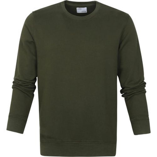 Sweat-shirt Pull Algue - Colorful Standard - Modalova