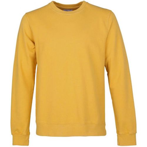 Sweat-shirt Pull - Colorful Standard - Modalova