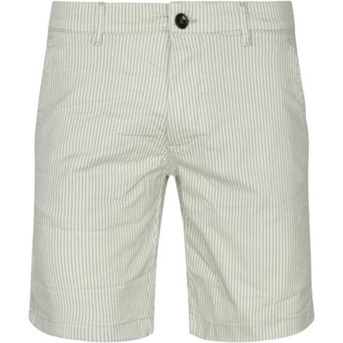 Pantalon Short Chino Charlie Rayures - Dstrezzed - Modalova