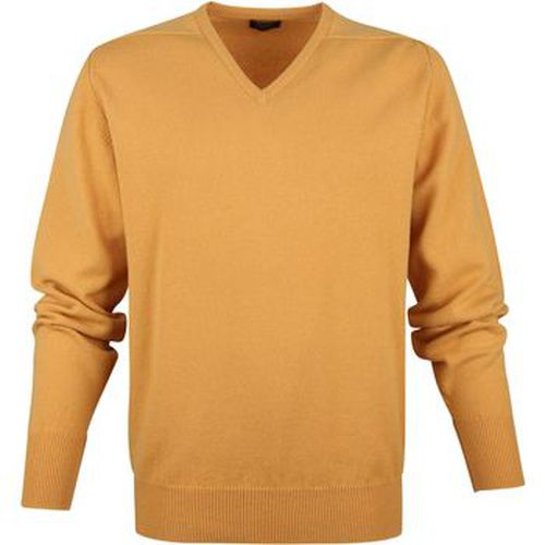 Sweat-shirt Pull Col-V Agneline - William Lockie - Modalova