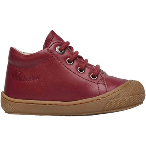 Derbies Chaussures premiers pas en cuir doublés en laine COCOON - Naturino - Modalova