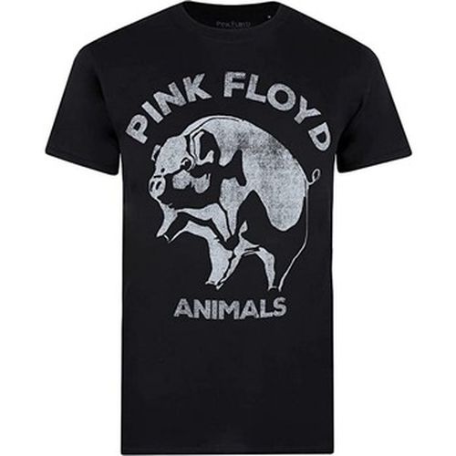 T-shirt Pink Floyd TV1067 - Pink Floyd - Modalova