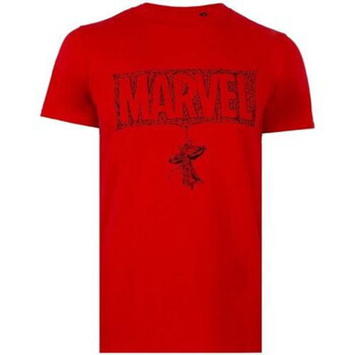 T-shirt Marvel TV407 - Marvel - Modalova
