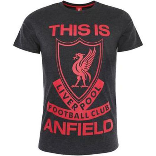 T-shirt Liverpool Fc TA9134 - Liverpool Fc - Modalova