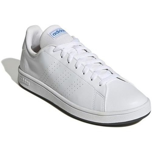 Baskets basses Advantage Base - adidas - Modalova