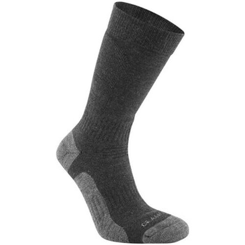 Chaussettes Expert Trek - Craghoppers - Modalova