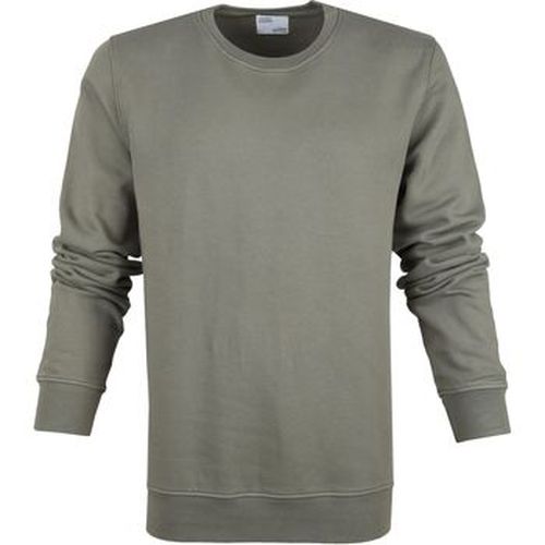 Sweat-shirt Pull Organic Olive - Colorful Standard - Modalova