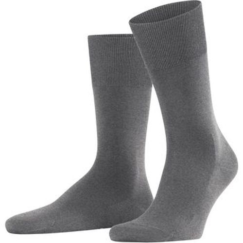 Socquettes ClimaWool Chaussette 3216 - Falke - Modalova