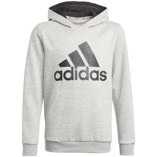 Sweat-shirt adidas Big Logo HD - adidas - Modalova