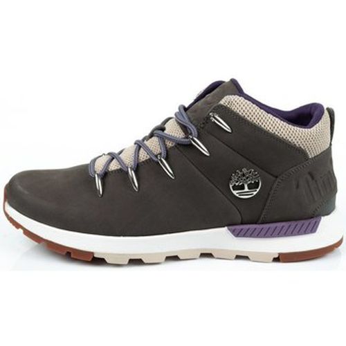 Baskets montantes Sprint Trekker - Timberland - Modalova