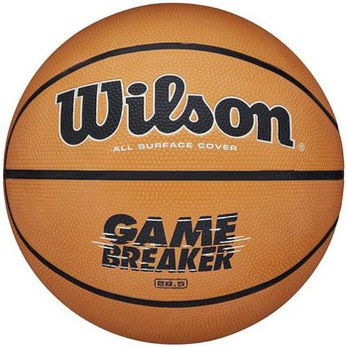 Ballons de sport Gamebreaker - Wilson - Modalova