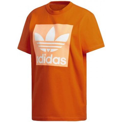 T-shirt adidas Bf Tee - adidas - Modalova