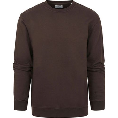 Sweat-shirt Pull standard coloré brun café - Colorful Standard - Modalova
