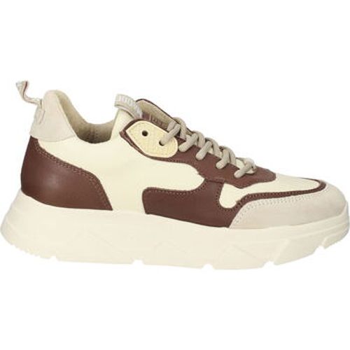 Baskets basses Sneaker - Steve Madden - Modalova