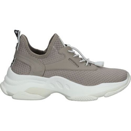 Baskets basses Sneaker - Steve Madden - Modalova