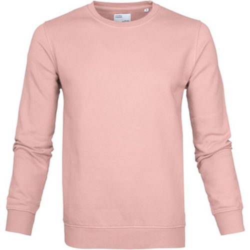 Sweat-shirt Pull - Colorful Standard - Modalova