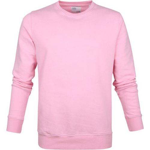 Sweat-shirt Pull - Colorful Standard - Modalova