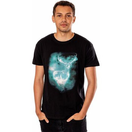 T-shirt Expecto Patronum - Harry Potter - Modalova