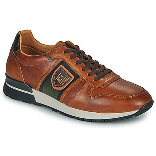 Baskets basses SANGANO UOMO LOW - Pantofola d'Oro - Modalova