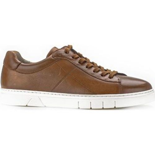 Baskets basses Pius Gabor Sneaker - Pius Gabor - Modalova