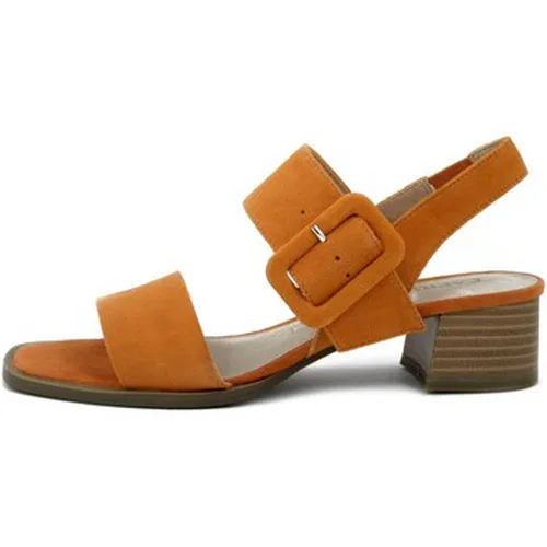 Sandales Chaussures, Sandales, Daim-28211 - Caprice - Modalova
