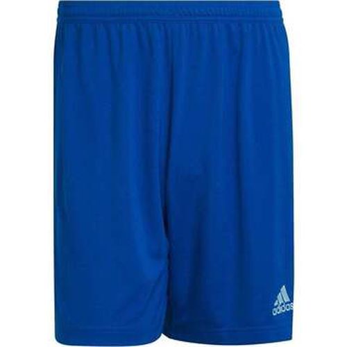 Pantalon adidas ENT 22 SHORT MN - adidas - Modalova