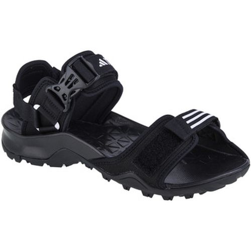 Sandales Terrex Cyprex Ultra DLX Sandals - adidas - Modalova