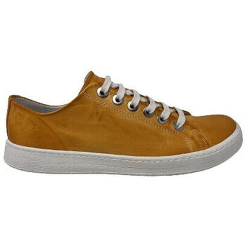Baskets Chacal CHAUSSURES 6330 - Chacal - Modalova