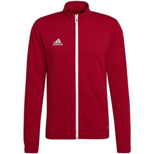 Blouson adidas - adidas - Modalova