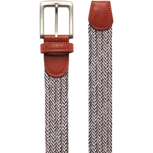 Ceinture CEINTURE STRETCH WHITEBROWN - Pullin - Modalova