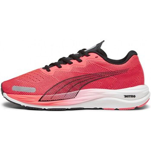 Chaussures Puma Velocity Nitro 2 - Puma - Modalova