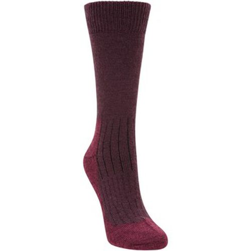 Chaussettes MW500 - Mountain Warehouse - Modalova